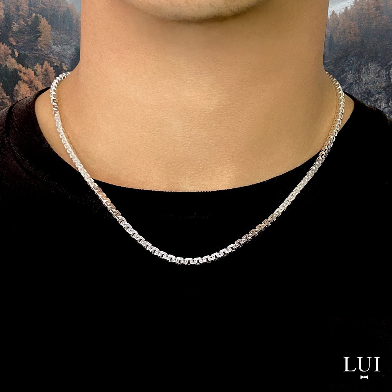 Cadena Capri de Plata - 4mm